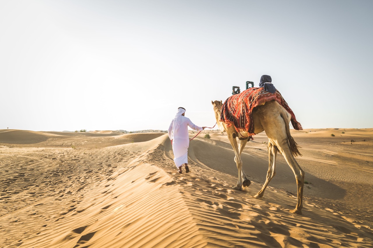 Ultimate Dubai Experience gallery 2